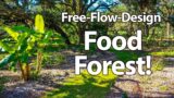 FREE-Style, FREE-Flow Food Forest!! (Follow-Up After 2 Major Hurricanes)