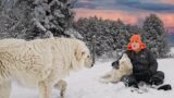 Farm Chores on a Snow Day