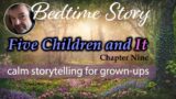 Five Children and It  |  Sleep Story for Grown Ups  |  Ch 9