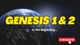GENESIS Chapter 1&2 : God created the Heaven and the Earth  #bible #jesus #biblestudy #genesis