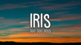 Goo Goo Dolls – Iris (Lyrics)