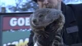 Groundhog Day 2023 Prediction: Punxsutawney Phil sees his shadow