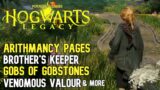 HOGWARTS LEGACY Part 6 | Brother's Keeper | Gobs of Gobstones | Arithmancy Pages | Venomous Valour |