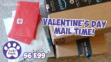 Happy Valentine's Day Mail Time! | S6 E99 | Lucky Ferals Cat Stuff Unboxing