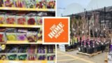 Home Depot Inventory February 2023 Summer Bulbs, Ornamental Trees, Fruit Trees, and BB Arborvitae!