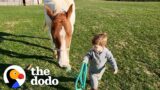Horse Comes Running When Little Boy Calls Her Name | The Dodo Soulmates