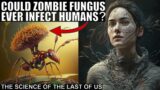 How Cordyceps (Zombie Fungus) Infects Ants and What It Could Do to Humans