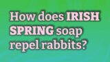 How does Irish Spring soap repel rabbits?