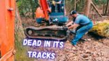 How to Fix + Install Excavator Tracks ~ Kubota Mini Excavator ~ Andrew Camarata + Diesel Creek Hack