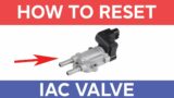 How to Reset an Idle Air Control Valve – Symptoms of a Bad IAC