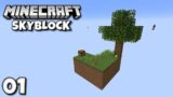 I am playing Sky Block #1