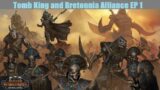 Immortal Empires – Tomb King and Bretonnian Alliance MP Episode 1