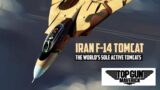 Iran F-14 Tomcat: Iran Is Flying The Same Plane Tom Cruise Flew In Top Gun