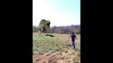 Jurassic world dominion real life @akshaytanwarfilms8182 #shortsvideo #shorts #dinosaur #movie