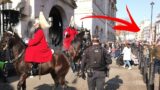King's "Horse Spooked" by the Protesters, Police to the Rescue!