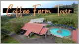 Kona Coffee Farm Tour Big Island – Heavenly Hawaiian