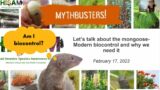Let’s talk about the mongoose- Modern Biocontrol and Why We Need It