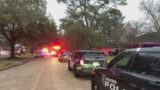 Man mauled to death by dogs in NW Houston, police say