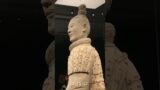 Not the terracotta Warriors are not coming to China, Amazing #Terracotta #warriors #china #shorts