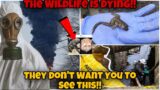 OMG! The Wildlife In East Palestine Are Dying | Ohio Train Derailment Much Worse Than We Thought !!!