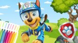 PAW PATROL To The Rescue – Best Learning Videos For Kids and Toddlers