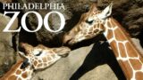 Philadelphia Zoo Tour & Review with The Legend