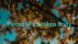 Pieces of a Broken Body by Elin Porsinger. [ #music #lyrics ]