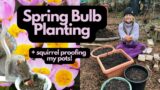 Planting Late Bulbs and Squirrel Proofing Pots! | UK Allotment