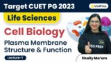 Plasma Membrane Structure & Function | Cell Biology | CUET PG Life Sciences| VedPrep Biology Academy