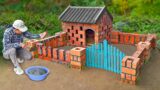 Rescue poor rabbits and builds new amazing shed for them