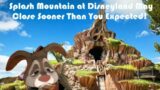 Rumor: Splash Mountain At Disneyland May Close This May!