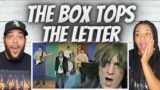 SO SWEET!|  FIRST TIME HEARING The Box Tops  – The Letter REACTION