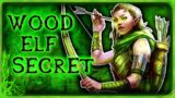 Skyrim – The Wood Elves Are Not What They Seem… – Bosmer Hidden Power – Elder Scrolls Lore