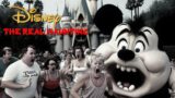 Spine Chilling Paranormal Stories From Disneyland | Real Spooky Incidents |