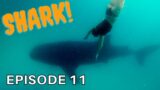 Swimming with WHALE SHARKS at MAFIA ISLAND – Long Way South EP11