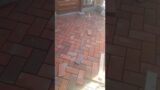 Terracotta bricks floor cladding