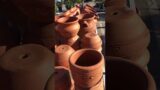 Terracotta pot for succulents! #subscribe #terracottapots #succulentids #relax #suculentas #succs