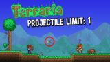 Terraria, but there can only be ONE Projectile…