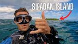 The BEST Dive Site IN THE WORLD? Sipadan, Malaysia