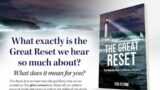 The Great Reset: THE GLOBALIST PLAN vs.HEAVEN’s VICTORY. LIVE INTERVIEW WITH AUTHOR TED FLYNN!