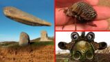The Most Bizarre Discoveries
