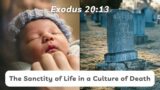 The Sanctity of Life in a Culture of Death [ Exodus 20:13 ] by Tim Cantrell