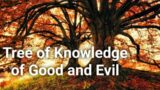 Tree of Knowledge of Good and Evil – Mythology and History