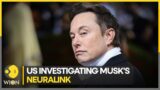 US investigating Elon Musk's brain implant company Neuralink | WION Business Watch | World News