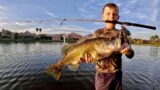 We Found some Giants in a local Pond (Catch & Cook)