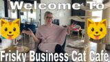 Welcome To Frisky Business Cat Cafe