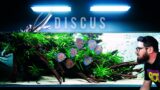 Wonderful Planted Aquarium with DISCUS FISH