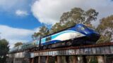 XPT crossing the Murrumbidgee River at Wagga Wagga.