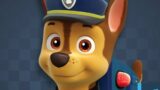 i spent $50 and 1.5 hours beating the hardest difficulty on paw patrol grand prix
