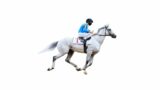 pronostic quinte chantilly mercredi 01 mars 2023 R1C1